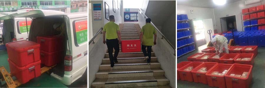 学生营养午餐配送