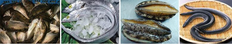 新鲜水产品配送