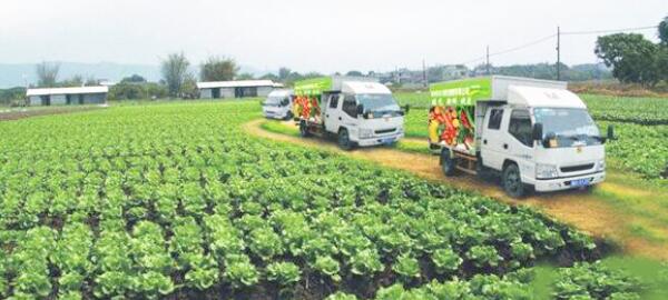 广州部队食材配送